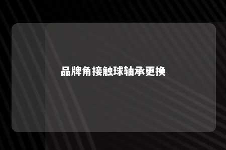 品牌角接触球轴承更换 